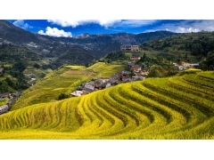 风光 - 龙胜梯田
