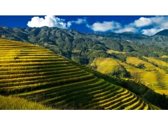 风光 - 龙胜梯田