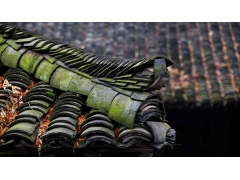 风光 - 徽派建筑