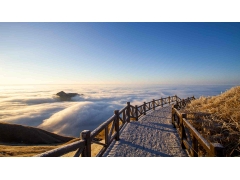 风光 - 冰雪武功山