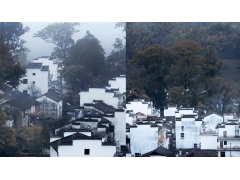 风光 - 婺源秋色